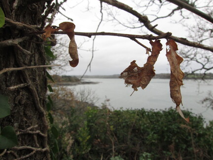 20111229 163727